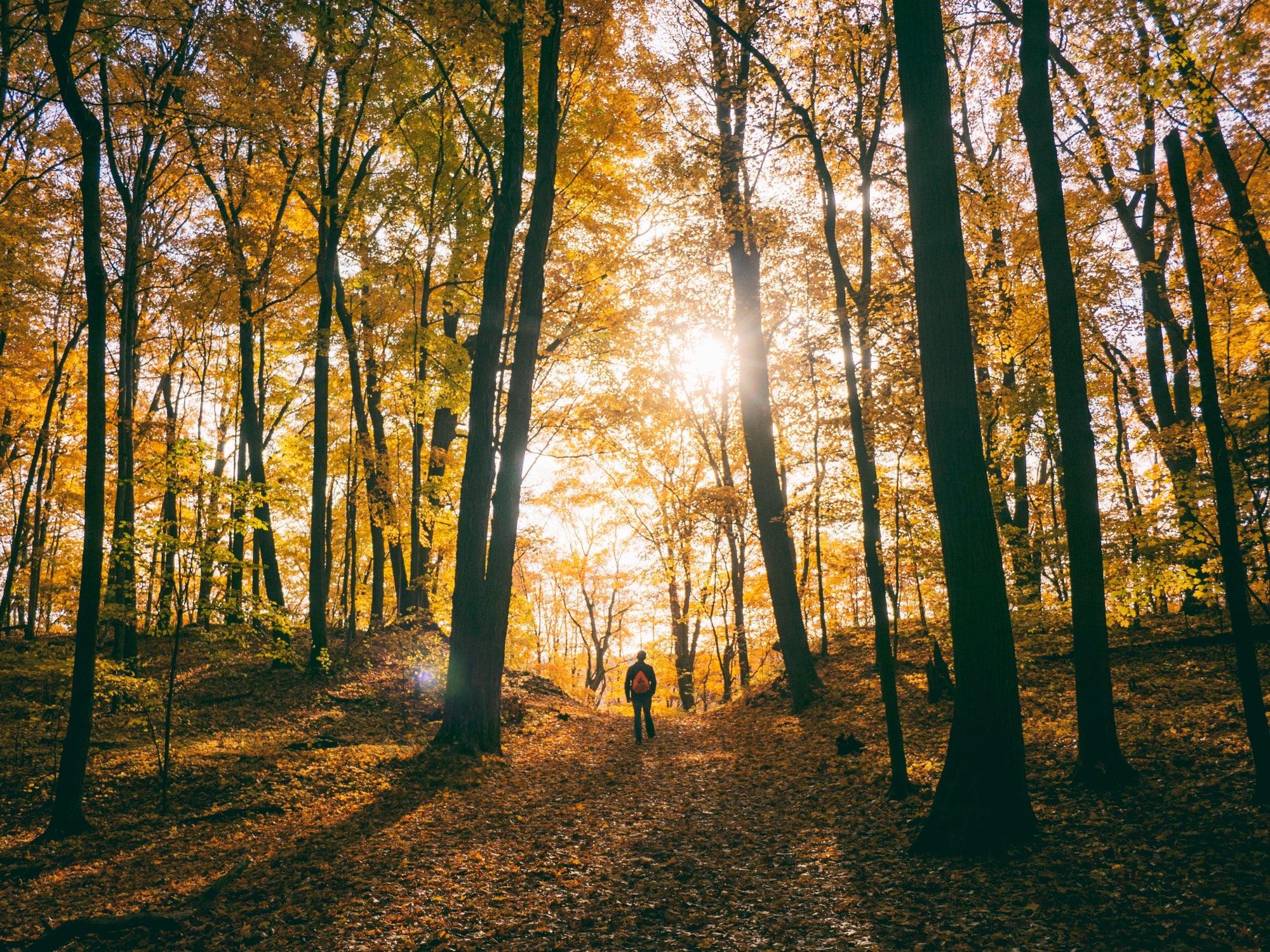 Erlebe die Magie des Herbst: Must-Haves für deine nächste (Winter-)Wanderung