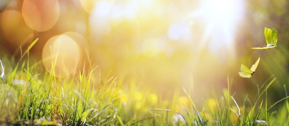 Mit Genuss in den Frühling