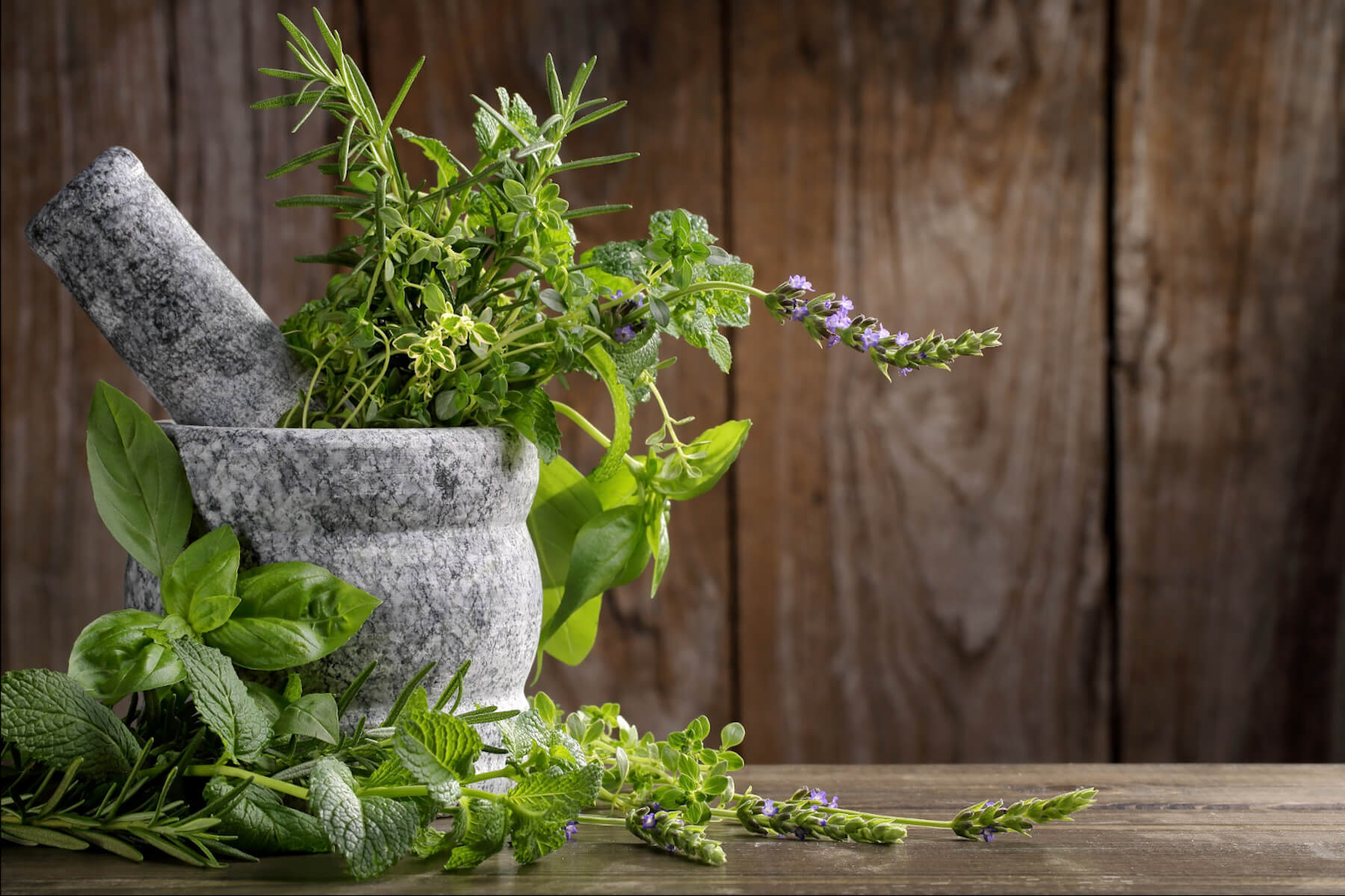 Bitterwissen im Überblick