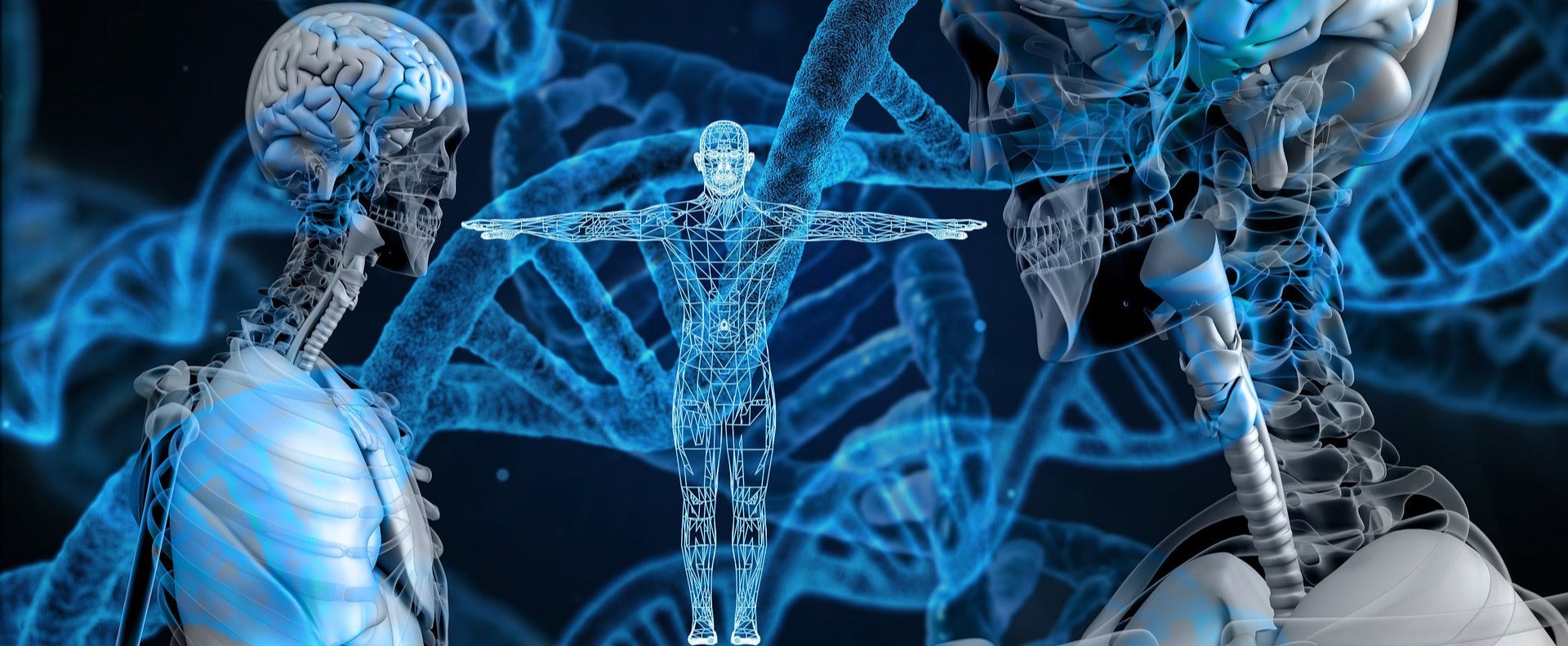 Grafische stilisierte Menschen- und DNA Abbildung symbolisiert den Mere-Exposure Effekt