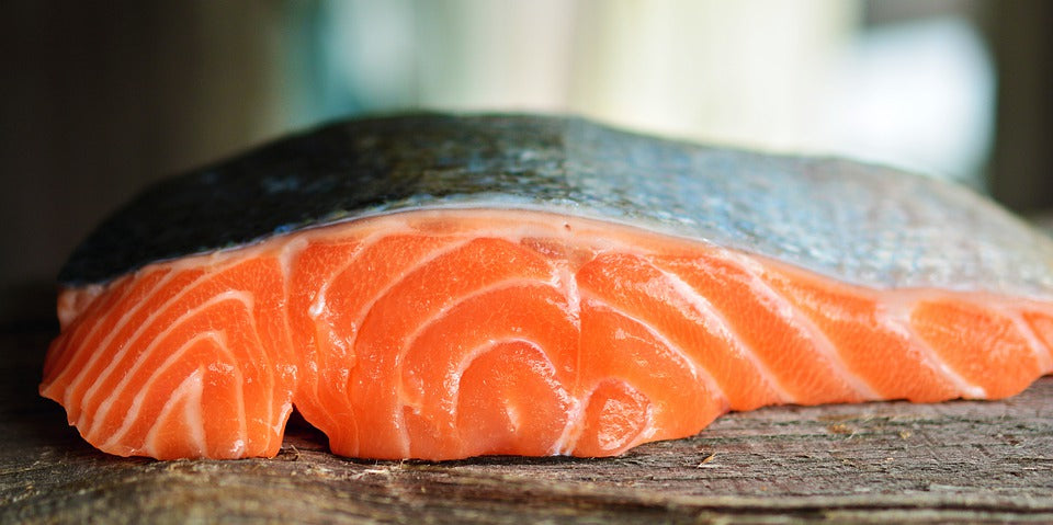 lachs, fettreicher fisch