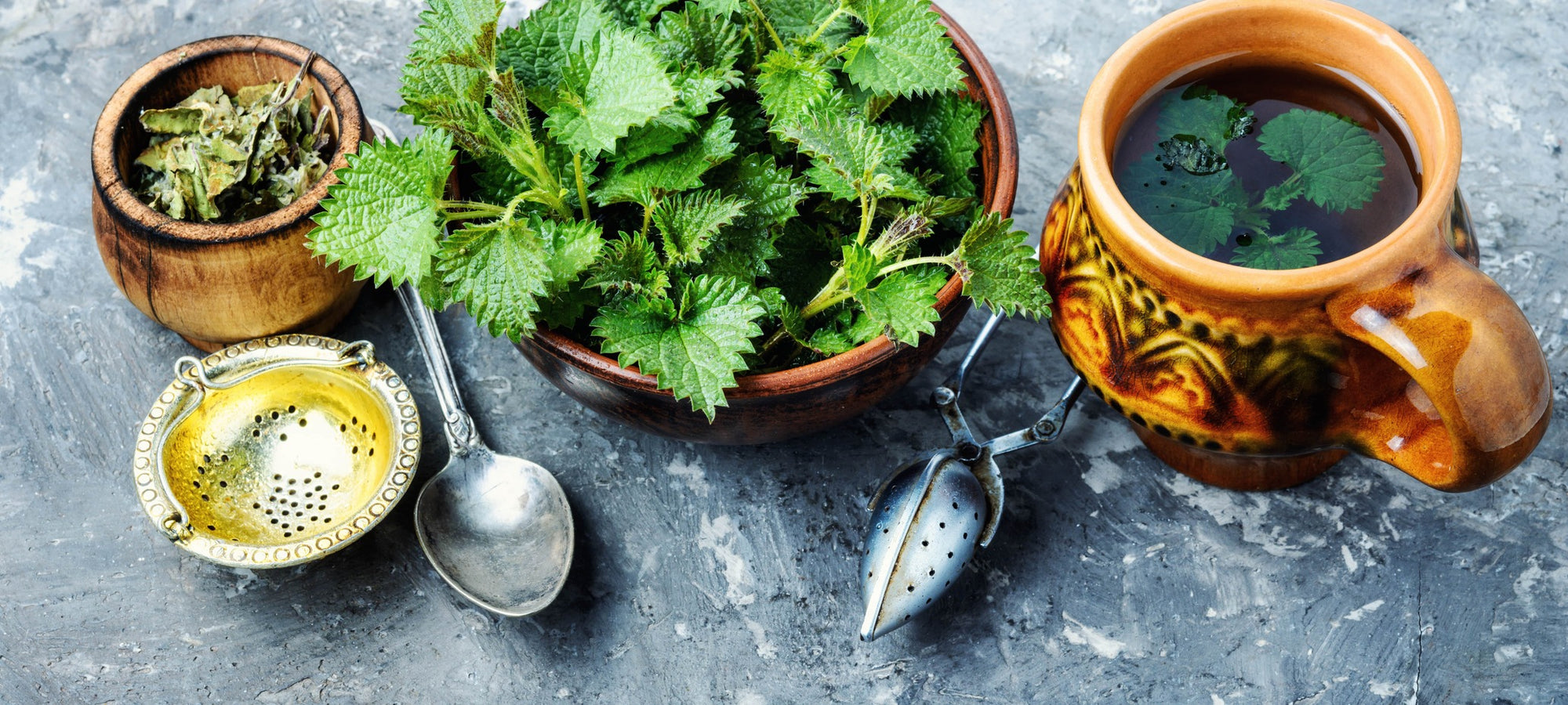 Frische und getrocknete Brennnesselblätter mit Teesieb und Keramiktasse – Zubereitung von Brennnesseltee als natürliche Quelle wertvoller Bitterstoffe für Gesundheit und Wohlbefinden.
