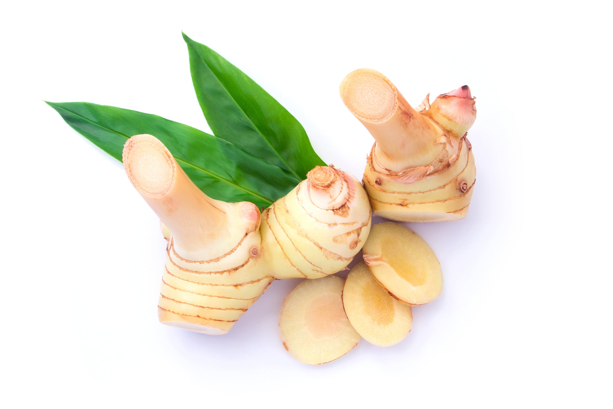 Galgantknolle mit abgeschnittenen Scheiben