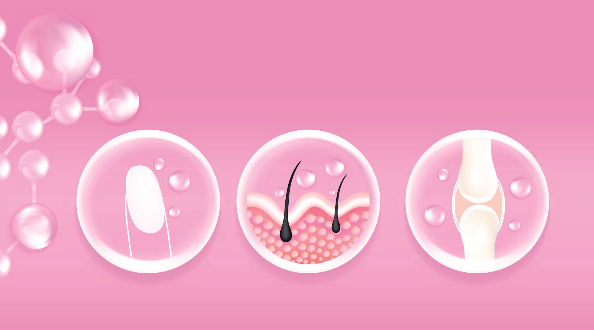 Wirkung von Magnesium auf Nägel, Haare und Knochen symbolisiert in 3 Illustrationen.