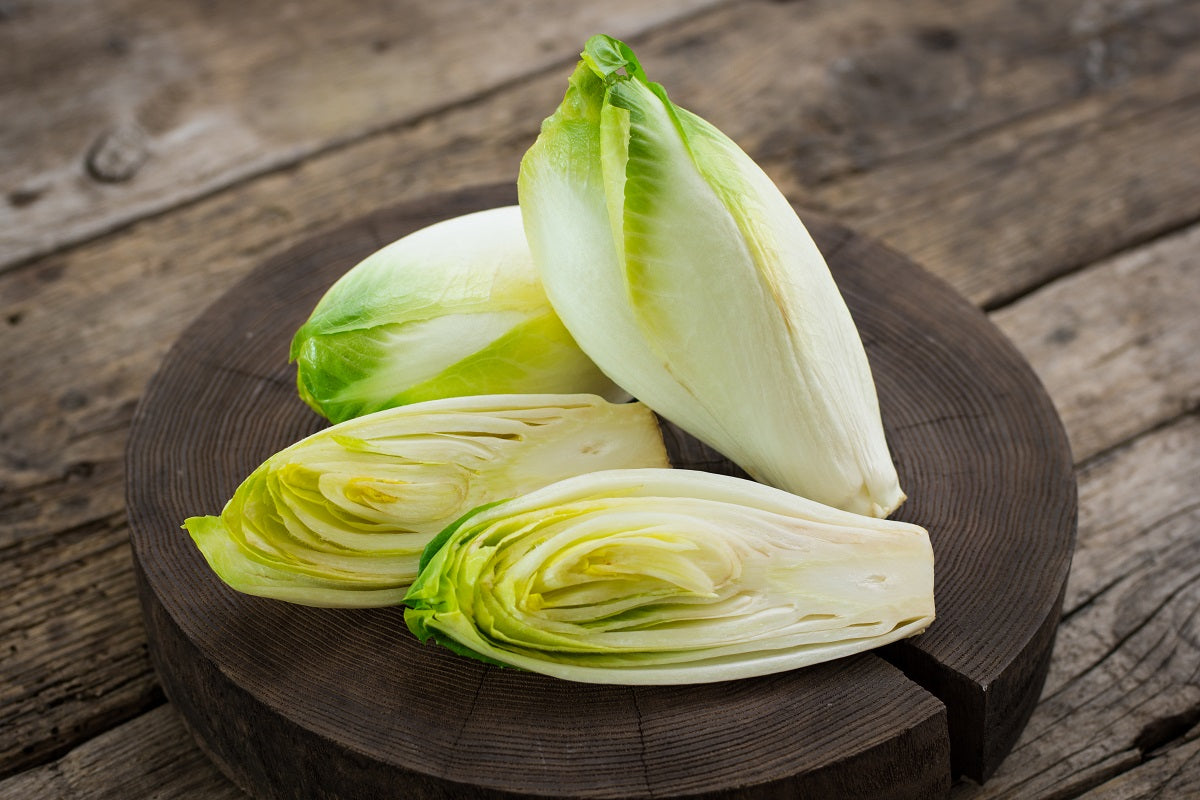 Chicoree ist ein bitterer Salat