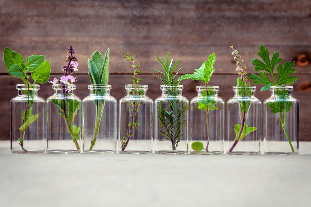 Kräuter in Gläsern stehen für die Rezepturen von Laetitia Naturprodukte.