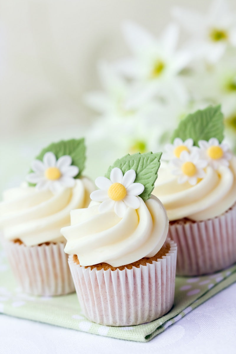 Törtchen mit Gänseblümchen Garnitur 