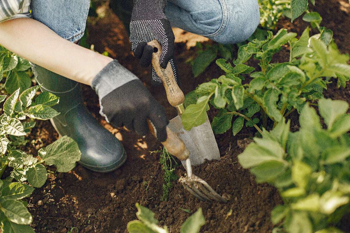 Frau mit Gartenschaufel und Gummistiefel inmitten eines Beets beim Pflanzen von Gemüse
