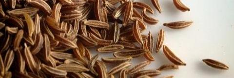 Kümmel