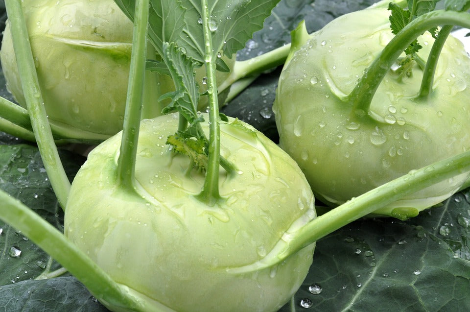kohlrabi