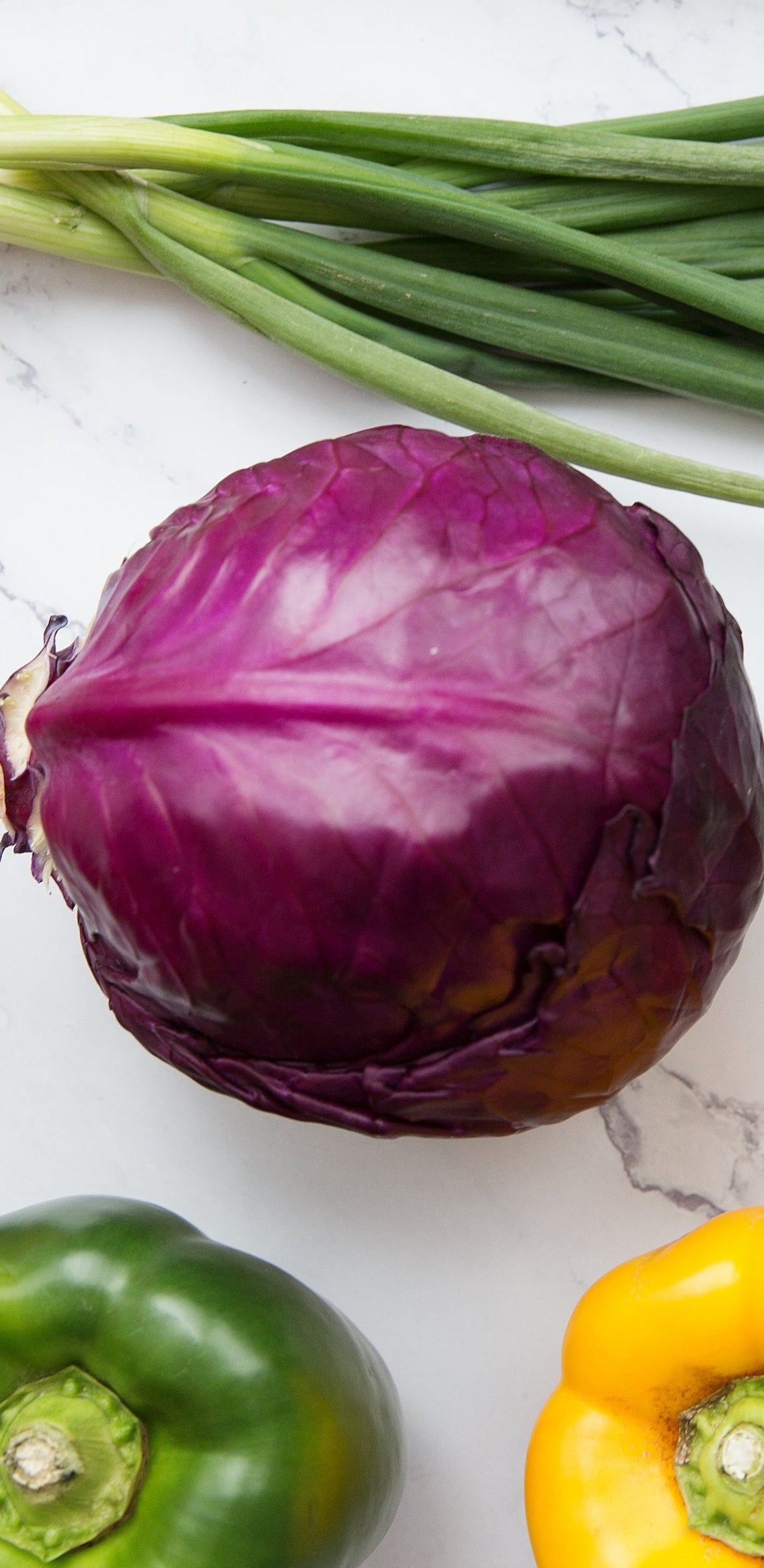 Radicchio gehört zu den bitteren Salaten
