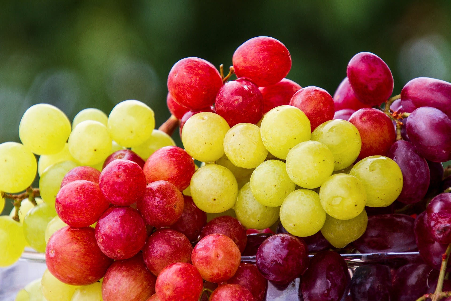 Weintrauben sind basisches Obst.