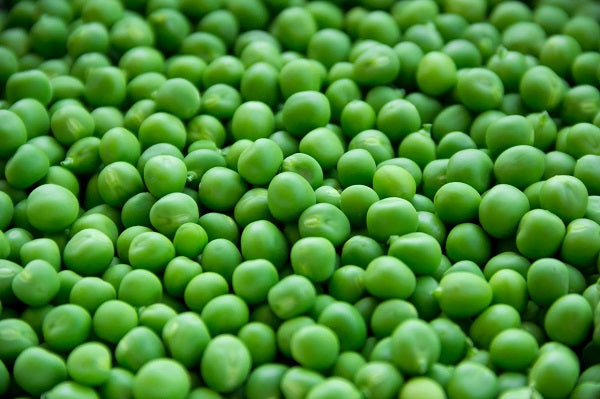 erbsen