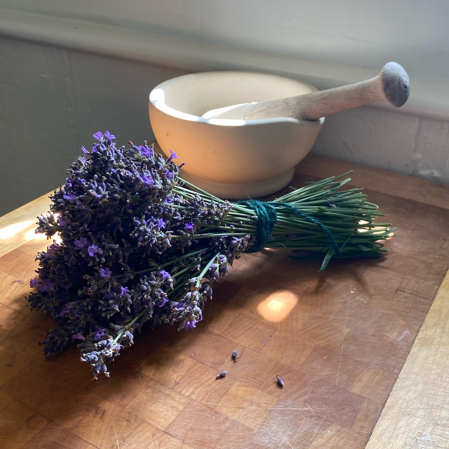 Lavendel neben einem Mörser
