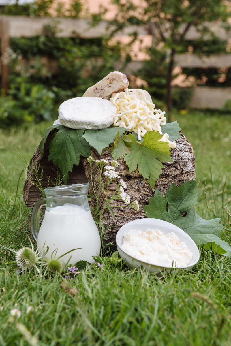 Verschiedene Milchprodukte wie Milch, Frischkäse, Hartkäse, Weichkäse und geriebener Käse drapiert auf einem Stück Holz auf einer Wiese.