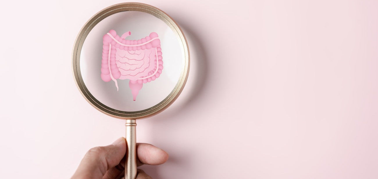 Gesunder Darm unter einer Lupe