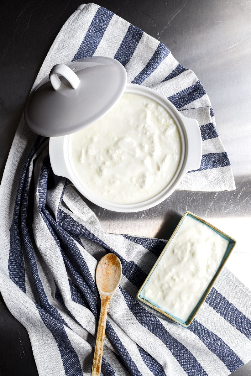 Hausgemachter Skyr in einer weißen Keramikschüssel auf einem blau-weiß gestreiften Küchentuch. Das proteinreiche Milchprodukt steht im Zusammenhang mit der Frage, ob Skyr basisch oder säurebildend wirkt.