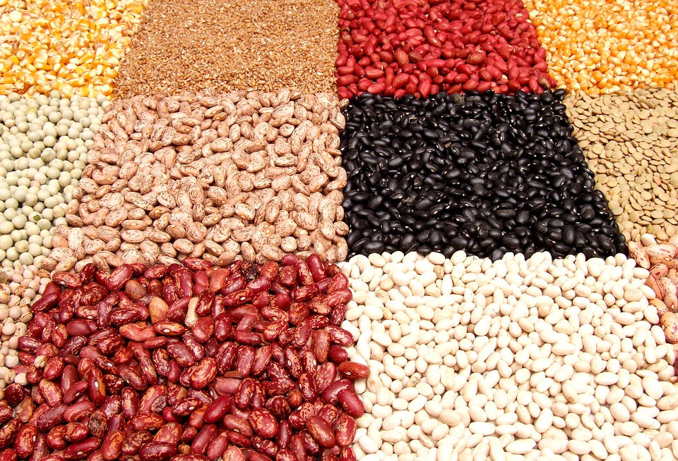 Bohnen in verschiedenen Farben 